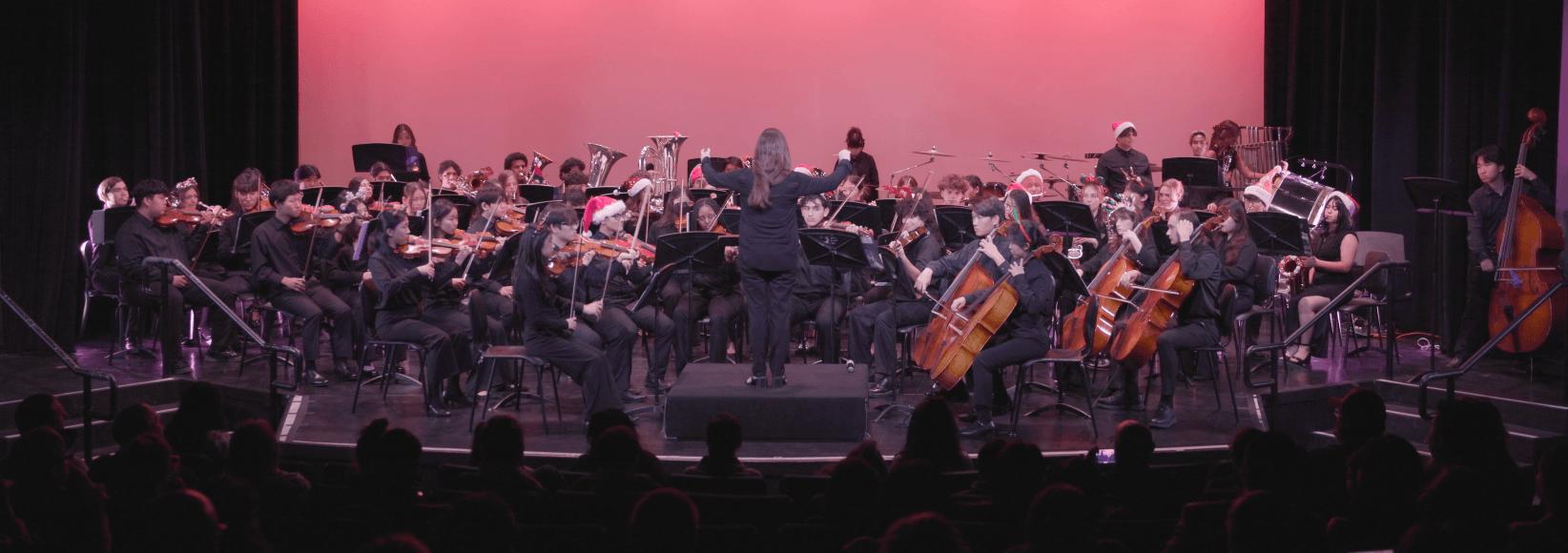 Symphony Orchestra Performance